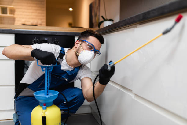 Best Local Pest Control Services  in Marble Falls, TX