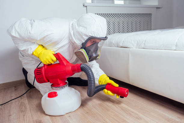 Best Ant Control Services  in Marble Falls, TX