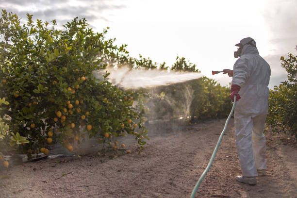 Best Emergency Pest Control  in Marble Falls, TX