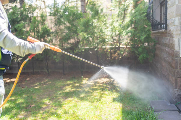 Trusted Marble Falls, TX Pest Control Experts