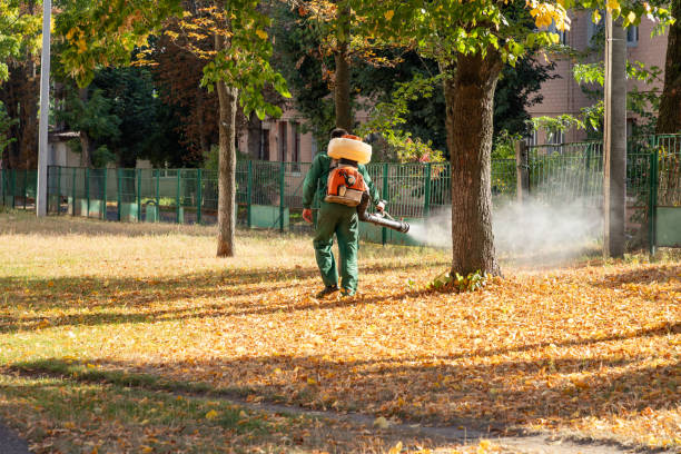 Best Local Pest Control Services  in Marble Falls, TX