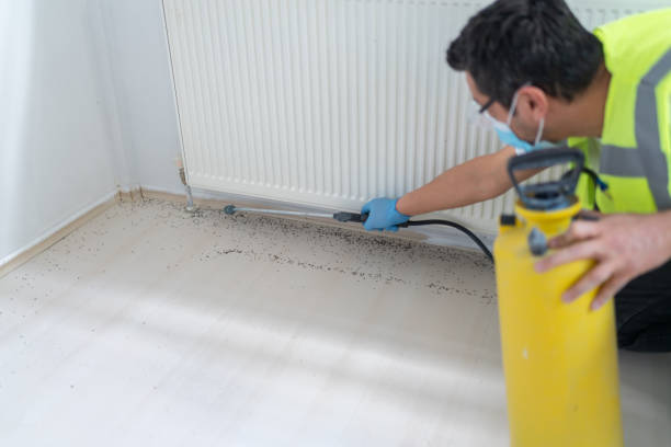Best Bed Bug Extermination  in Marble Falls, TX